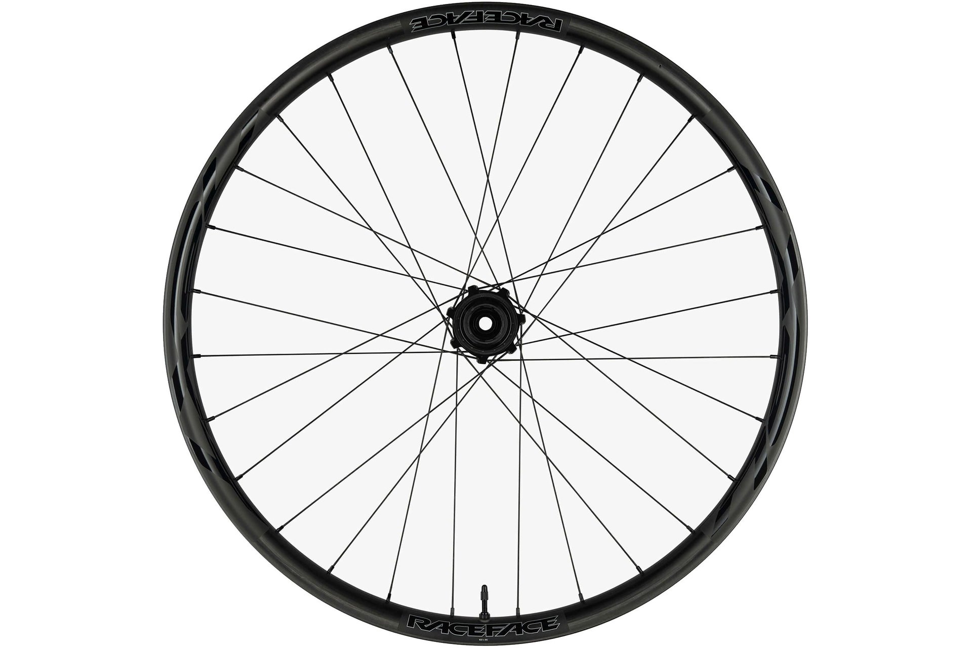 Race Face Next R 31 Super Boost Microspline 29" Hinterrad