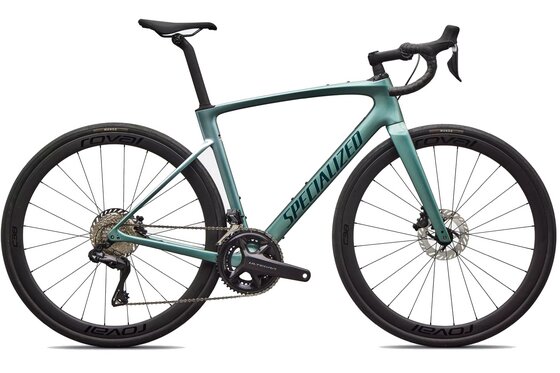 Endurance-Rennräder - Specialized Roubaix Expert - 28 Zoll - Diamant - 2026