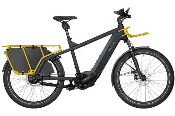 Herren - Mittelmotor - E-Lastenrad - Riese und M&uuml;ller Multicharger2 GT vario - 750 Wh - 26 Zoll - Longtail