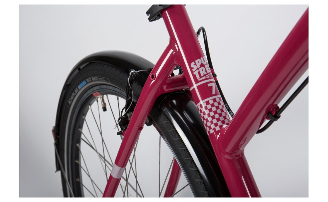 Dancelli Spurtreu 7.0 - 28 Zoll - Damen Sport