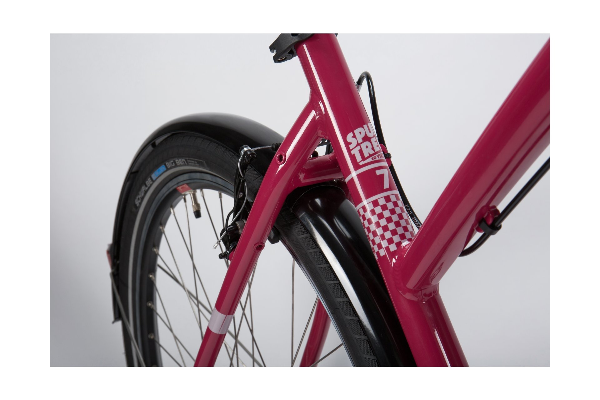 Dancelli Spurtreu 7.0 - 28 Zoll - Damen Sport