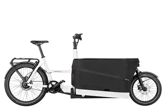 Aluminium - Long John - Riese und Müller Packster2 70 vario - 750 Wh - 20 Zoll - Long John