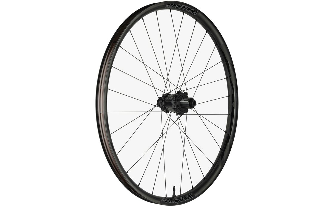 Race Face Next-R 31 Boost HG 29" Hinterrad