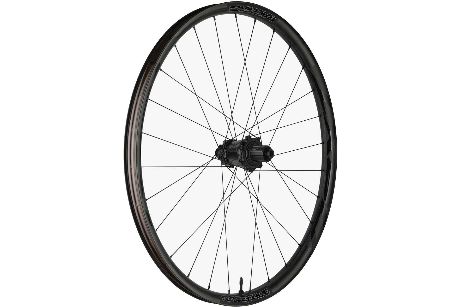 Race Face Next-R 31 Boost HG 29" Hinterrad