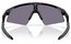 Oakley Resistor Sweep Polished Black/Prizm Grey