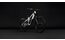 Cube TWO15 Race - 29 - 27,5 Zoll - Fully - 2027