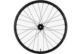 Race Face Next-R 36 Super Boost Microspline 29" Hinterrad