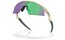 Oakley Resistor Sweep Desert Tan/Prizm Jade