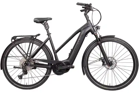 E-Bike Trekking - Hercules Futura HD I-12 - 625 Wh - 28 Zoll - Trapez