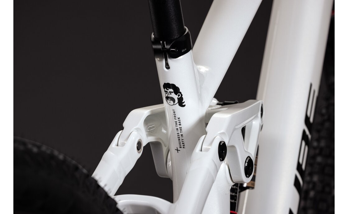 Cube TWO15 Race - 29 - 27,5 Zoll - Fully - 2027