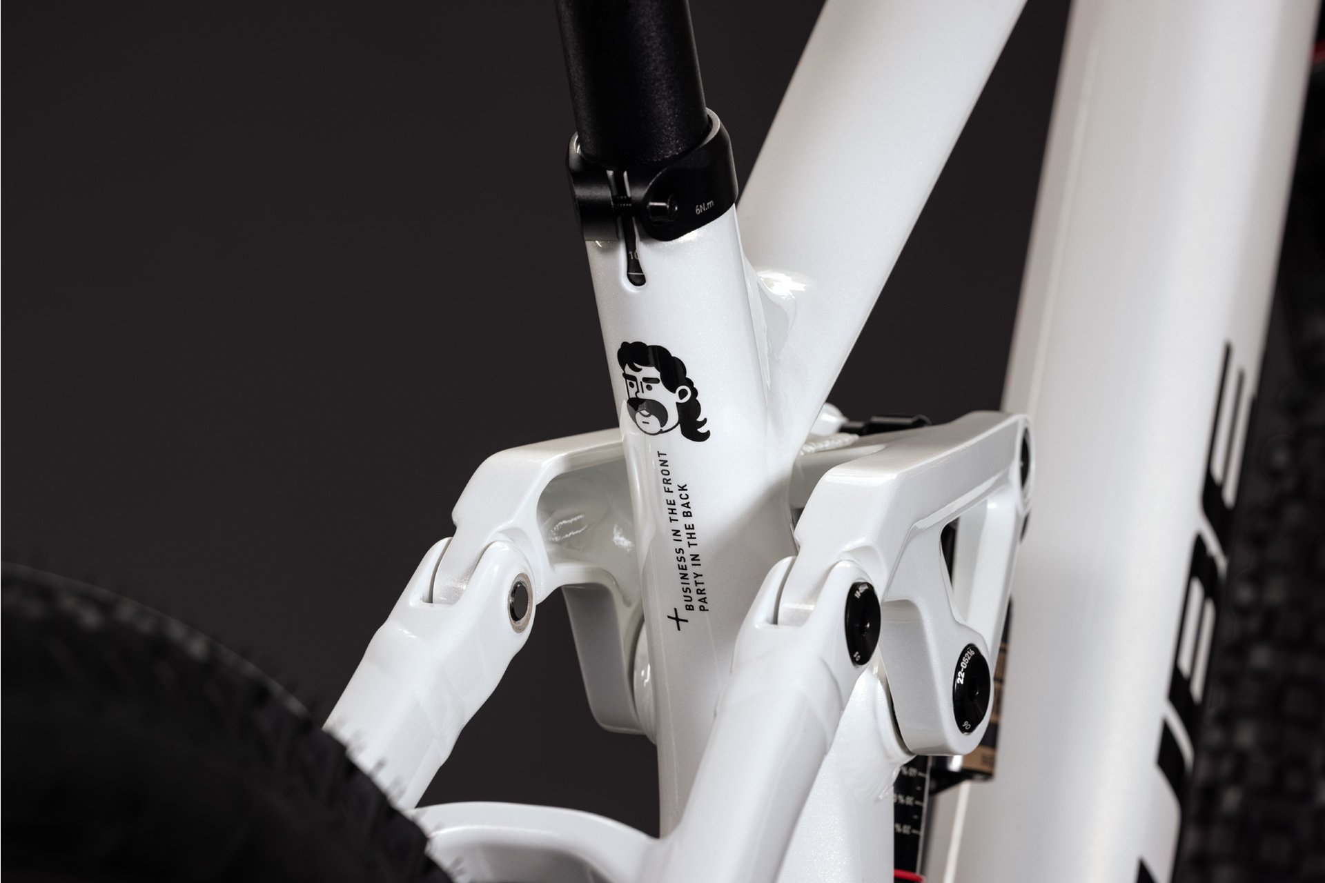 Cube TWO15 Race - 29 - 27,5 Zoll - Fully - 2027