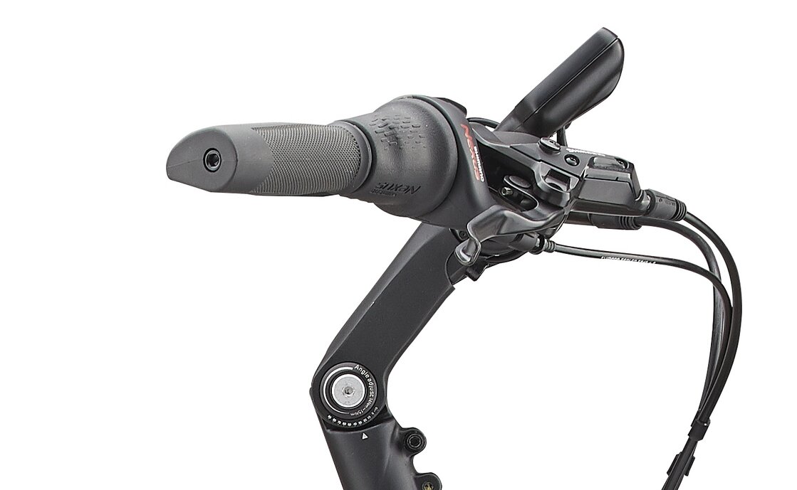 Giant DailyTour E+ 1 BD LDS - 496 Wh - 28 Zoll - Tiefeinsteiger - Aktion