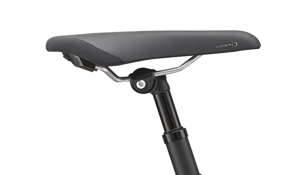Giant DailyTour E+ 1 BD LDS - 496 Wh - 28 Zoll - Tiefeinsteiger - Aktion