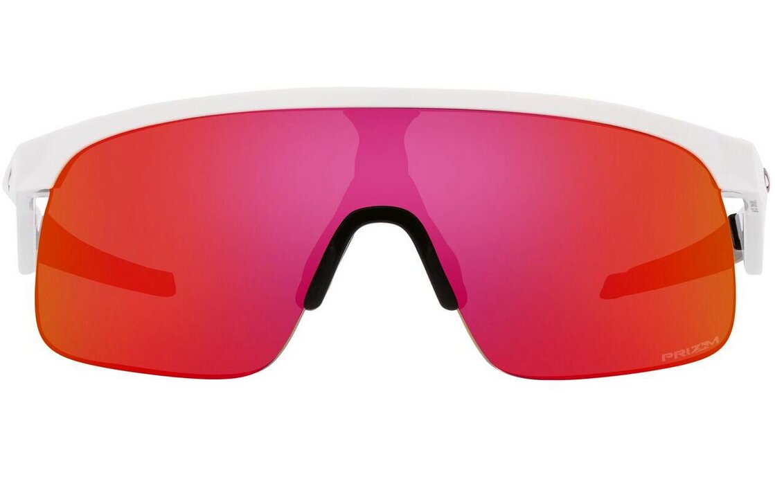 Oakley Resistor Polished White/Prizm Field