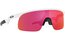 Oakley Resistor Polished White/Prizm Field