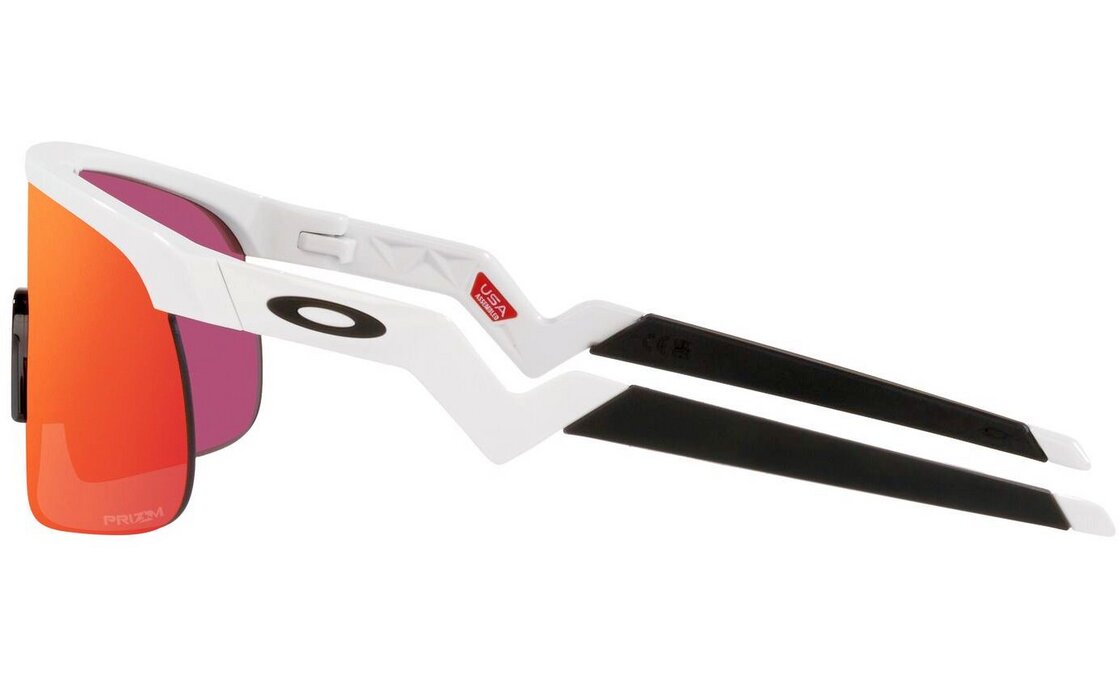 Oakley Resistor Polished White/Prizm Field