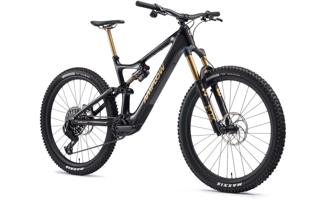 Amflow PL Carbon Pro - 800 Wh - 29 Zoll - Fully