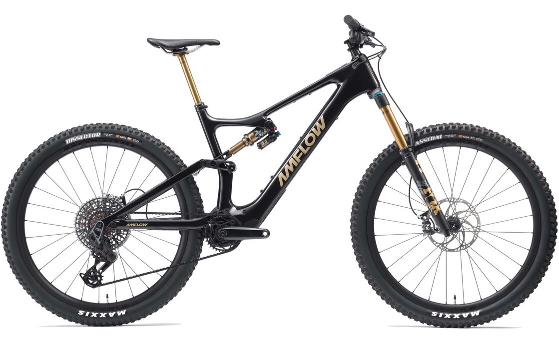 Amflow PL Carbon Pro - 800 Wh - 29 Zoll - Fully