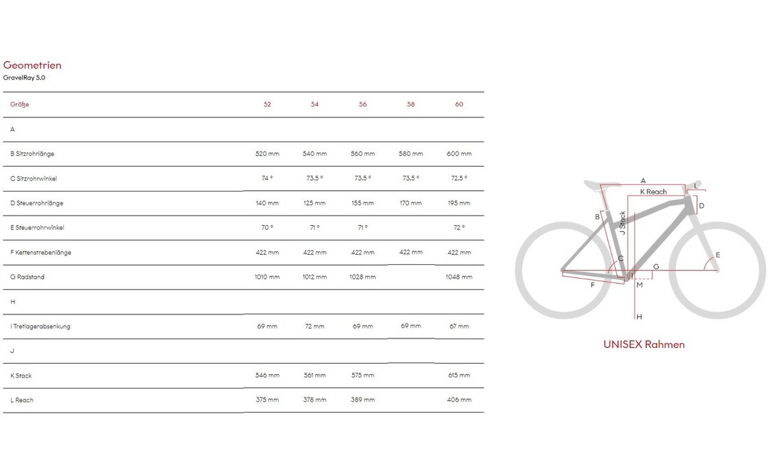 Raymon GravelRay 5.0 - 28 Zoll - Diamant