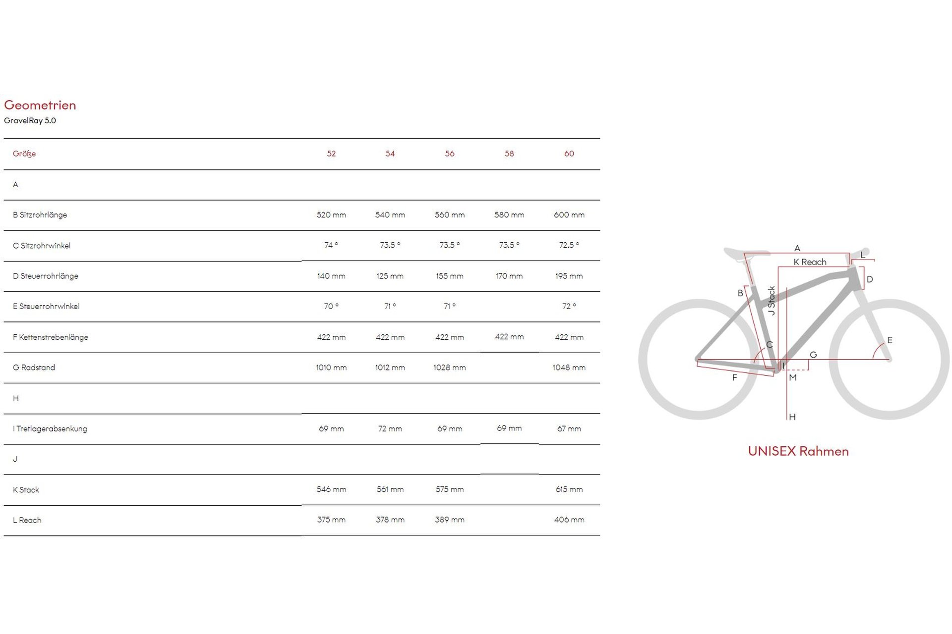 Raymon GravelRay 5.0 - 28 Zoll - Diamant