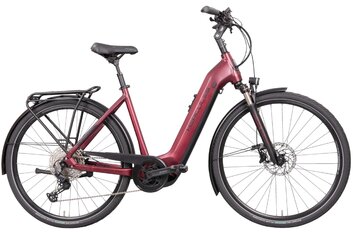 2022 - Hercules - Hercules Futura Comp I-12 - 625 Wh - 2022 - 28 Zoll - Tiefeinsteiger
