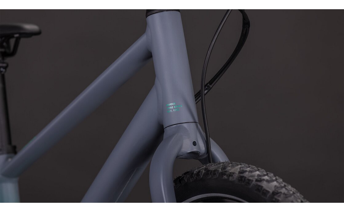 Cube Numove 200 Disc - 20 Zoll - Diamant - 2026