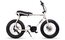 Ruff Cycles Lil Buddy Go Brown & Light Set - 500 Wh - 20 Zoll - Aktion