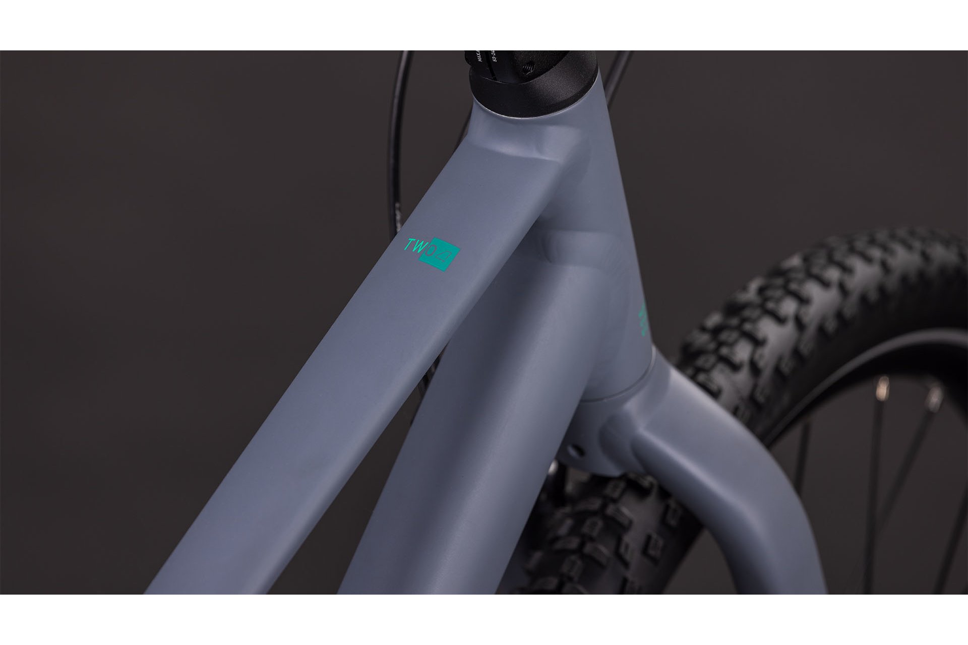 Cube Numove 240 Disc - 24 Zoll - Diamant - 2026