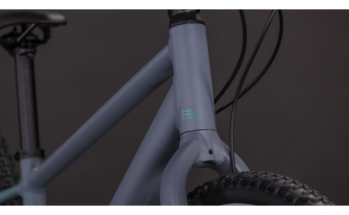 Cube Numove 240 Disc - 24 Zoll - Diamant - 2026