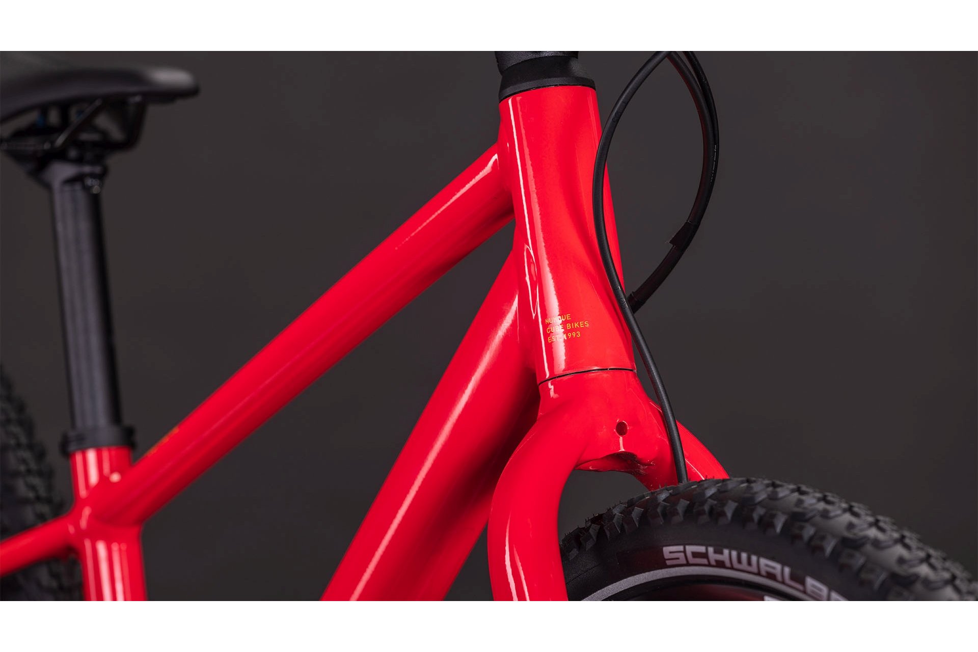 Cube Numove 240 Disc - 24 Zoll - Diamant - 2026