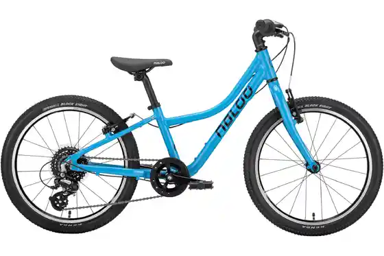 Türkis - Fahrräder - Naloo Chameleon 20" MK2 - 20 Zoll - Diamant - 2026