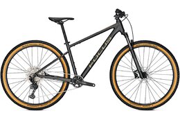 Focus Whistler 3.9 - 29 Zoll - Diamant
