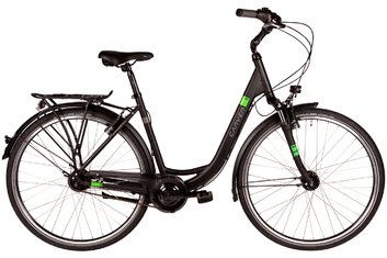 2019 - Citybike - Carver Cityzen 120 - 2019 - 28 Zoll - Tiefeinsteiger