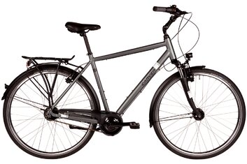 2019 - Citybike - Carver Cityzen 130 - 2019 - 28 Zoll - Diamant