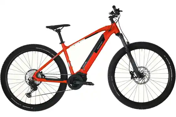 29 Zoll - Fahrräder - Carver Strict E.440 - B-Ware - 625 Wh - 29 Zoll - Diamant