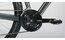 Carver Strict 130 W - B-Ware - 29 Zoll - Diamant - 2024
