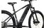 Carver Strict E.440 - B-Ware - 625 Wh - 29 Zoll - Diamant