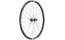 DT Swiss EX 1700 Spline DB 29"- Hinterrad, Shimano MS