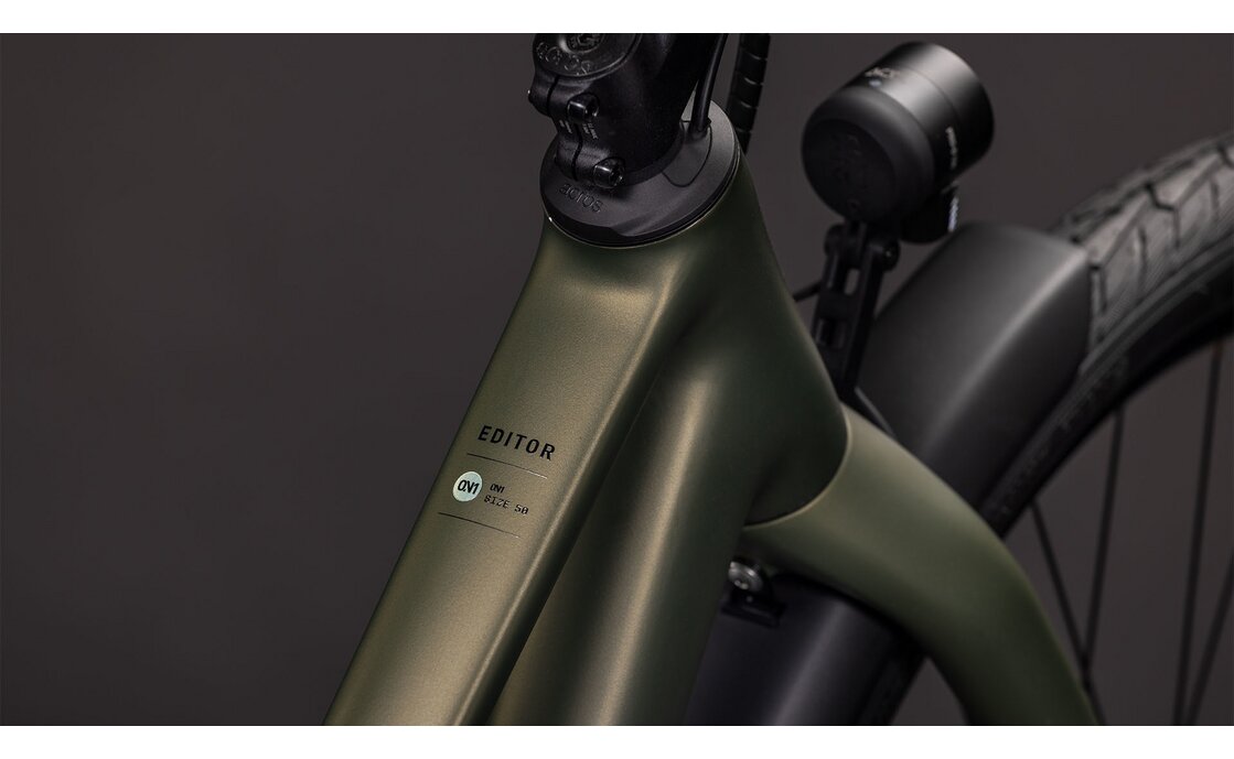 Cube Editor ONE FE - 29 Zoll - Damen Sport - 2026