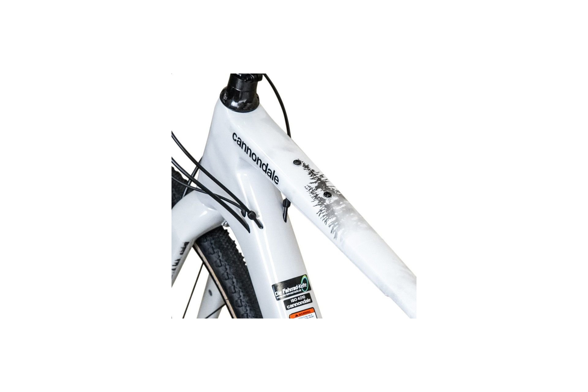 Unleazhed Rahmenschutzfolie Gravelbike BPG01 Forest black glossy