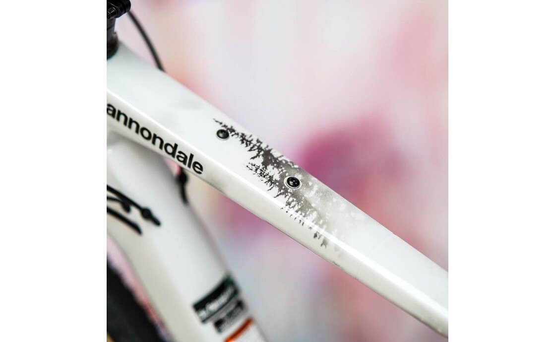 Unleazhed Rahmenschutzfolie Gravelbike BPG01 Forest black matt