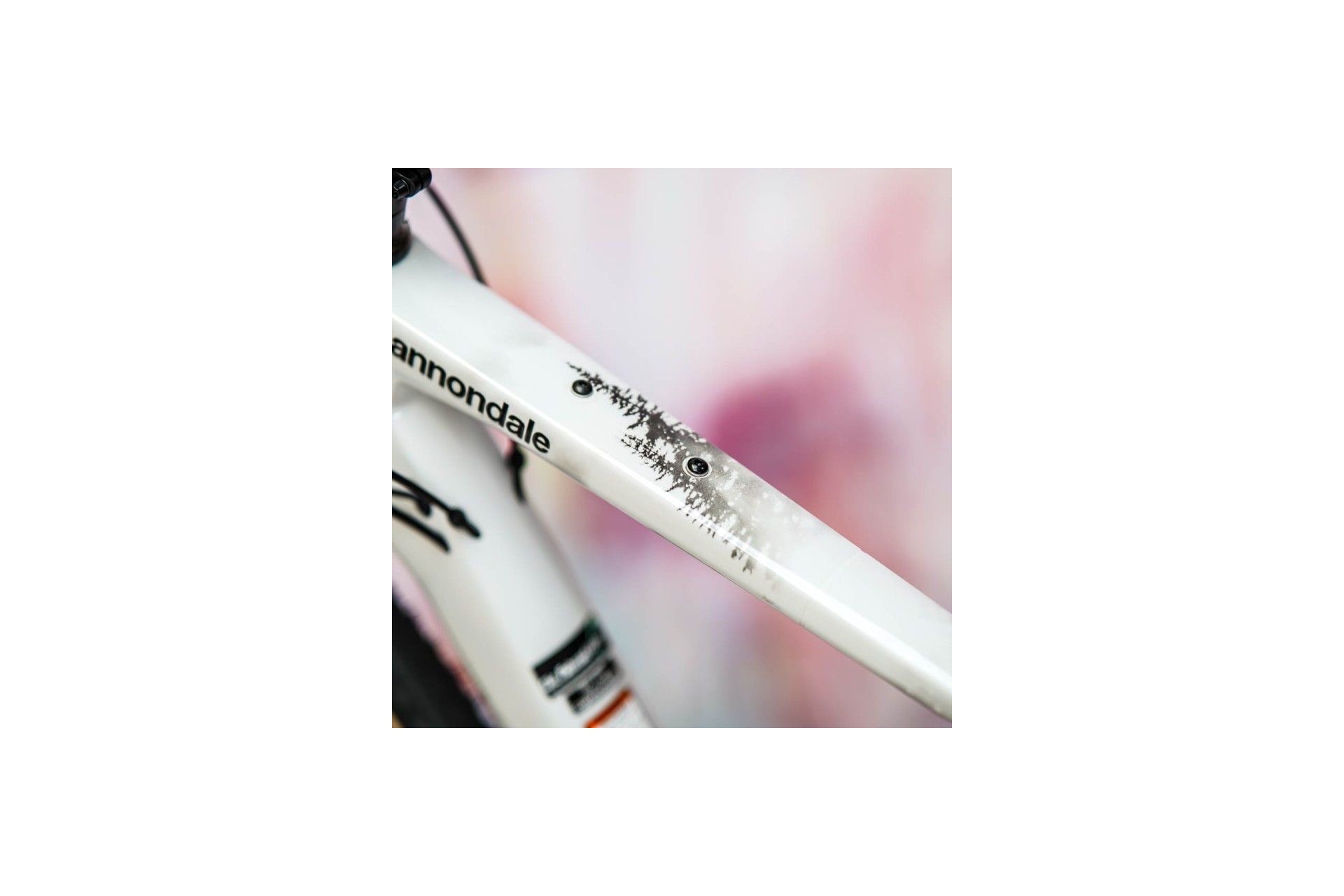 Unleazhed Rahmenschutzfolie Gravelbike BPG01 Forest black matt