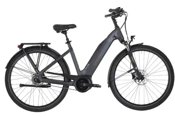 Damen - Fahrräder - Carver Cityzen E.420 FL - B-Ware - 500 Wh - 28 Zoll - Tiefeinsteiger