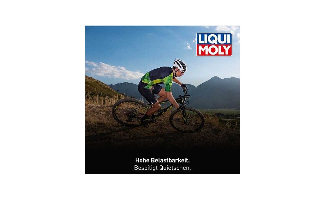 LIQUIMOLY Bike LM 40 Multifunktionsspray