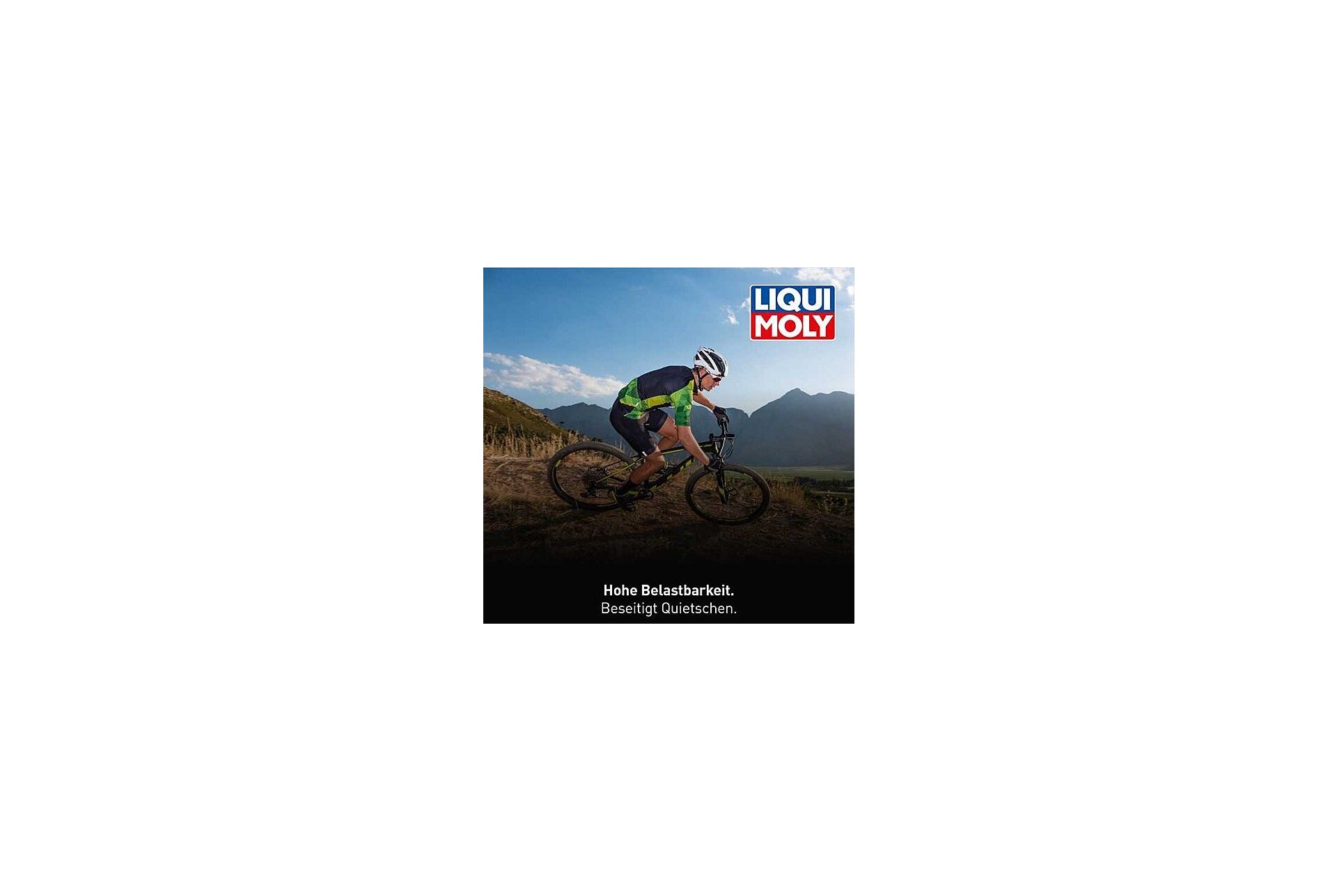 LIQUIMOLY Bike LM 40 Multifunktionsspray