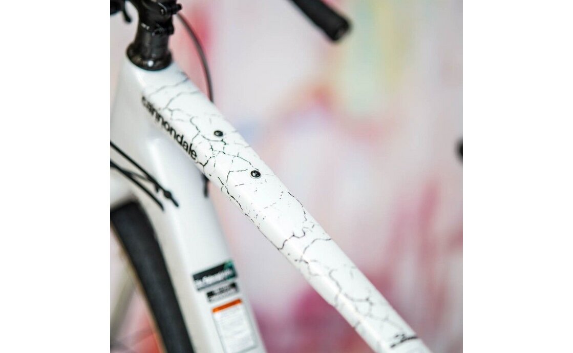 Unleazhed Rahmenschutzfolie Gravelbike BPG01 Fragment