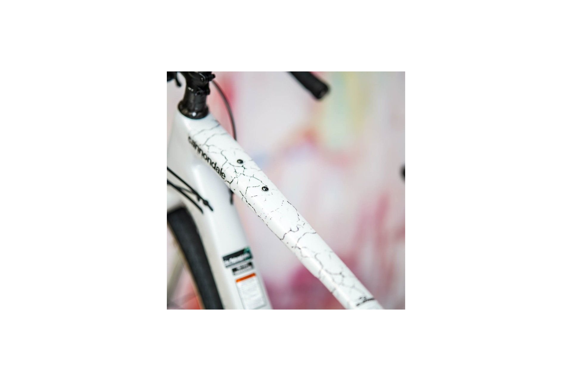 Unleazhed Rahmenschutzfolie Gravelbike BPG01 Fragment