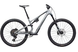 Specialized Stumpjumper 15 EVO Comp - 29 Zoll - Fully - 2026