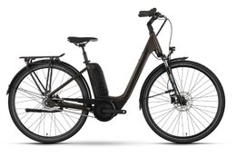 Raymon CityRay E 4.0 SE CB - 500 Wh - 28 Zoll - Tiefeinsteiger - 2024