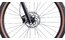 Cube Access WS Race - 29 Zoll - Diamant - Aktion